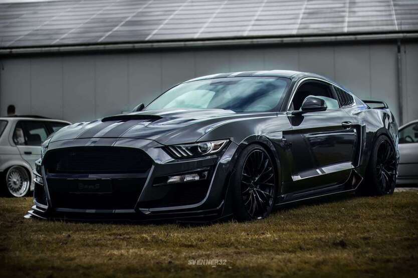 Mustang