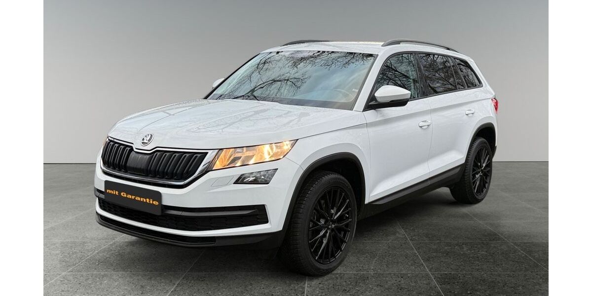 Skoda Kodiaq 205.794 km 12.990 &euro; Düsseldorf 40599