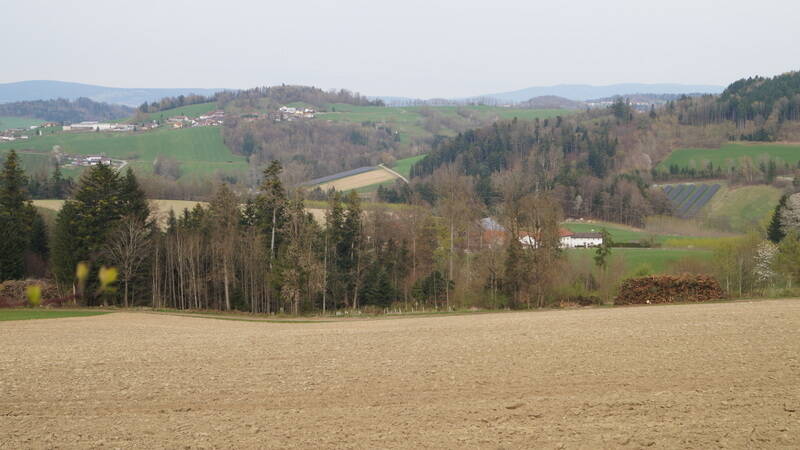 Einfamilienhaus Büchlberg Denkhof - 5 Zimmer, 146 m&sup2;, 265.000&euro; | Angebot:25929657