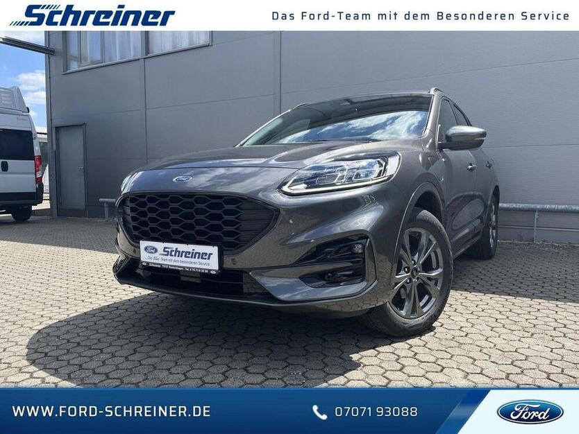 Kuga