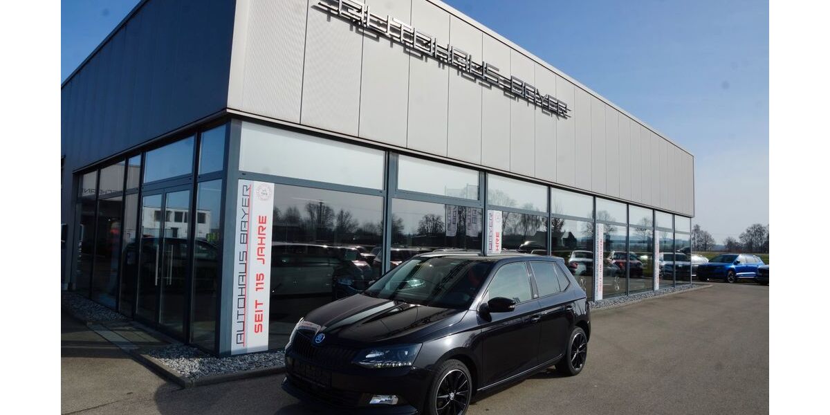 Skoda Fabia 114.599 km 10.490 &euro; Salgen, Pfaffenhausen 87775