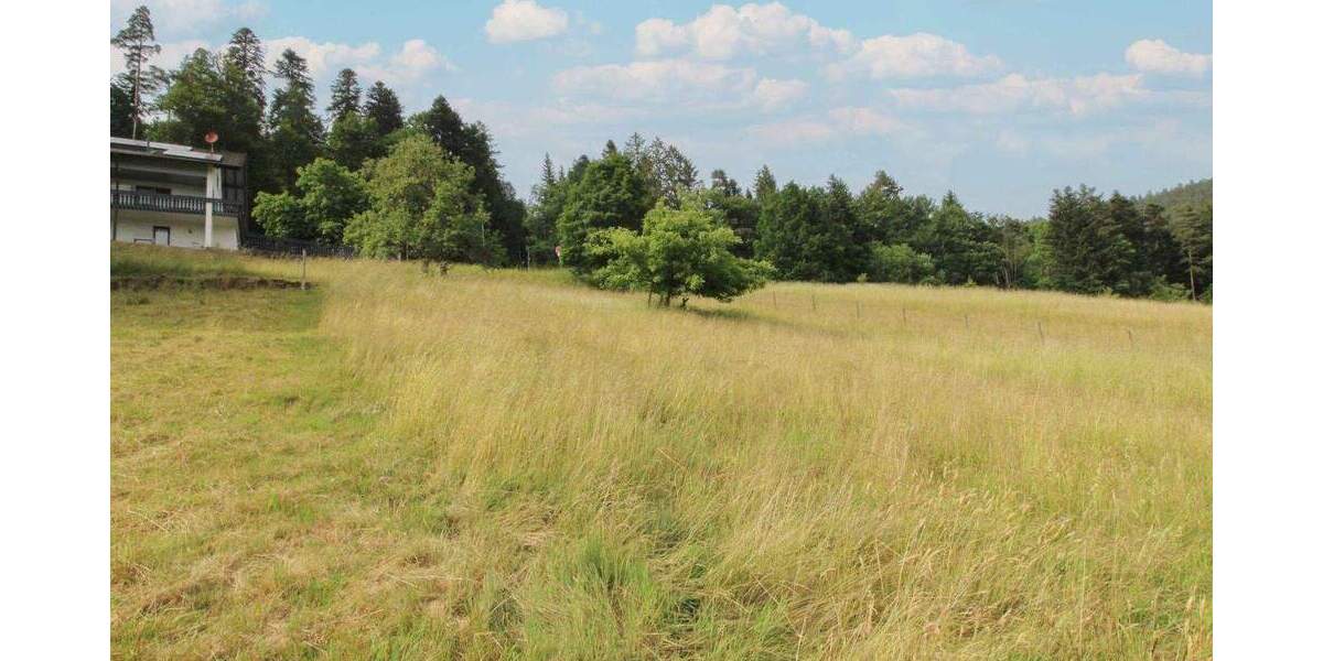 Grundstück Bad Wildbad Sprollenhaus - 124.500&euro; | Angebot:25167852