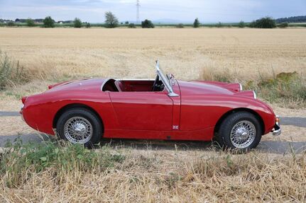 Austin Healey Andere
