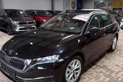 Skoda Octavia 14.815 km 29.249 &euro; Hörstel-Bevergern 48477