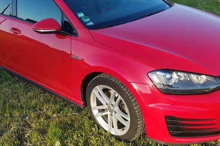 VW Golf 143.000 km 13.200 &euro; Willingshausen 34628