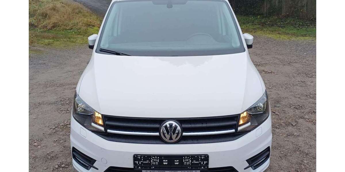 VW Caddy 55.000 km 25.890 &euro; Wald-Michelbach 69483