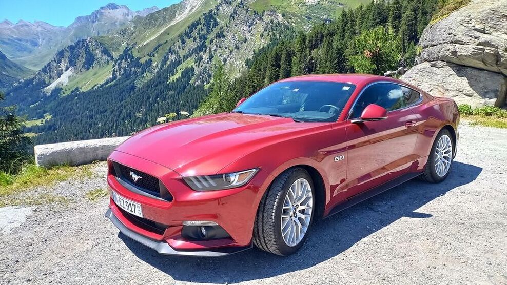 Mustang