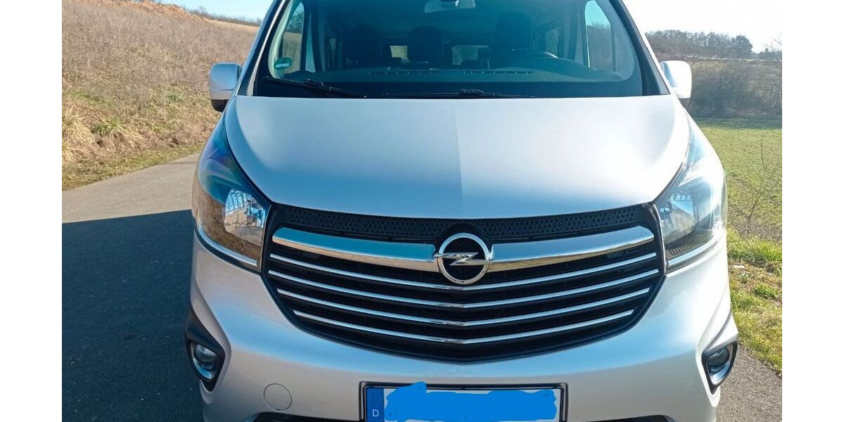 Opel Vivaro 110.000 km 15.000 &euro; Hösbach 63768