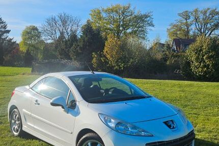Peugeot 207 219.000 km 1.000 &euro; Rohrberg OT Ahlum 38489