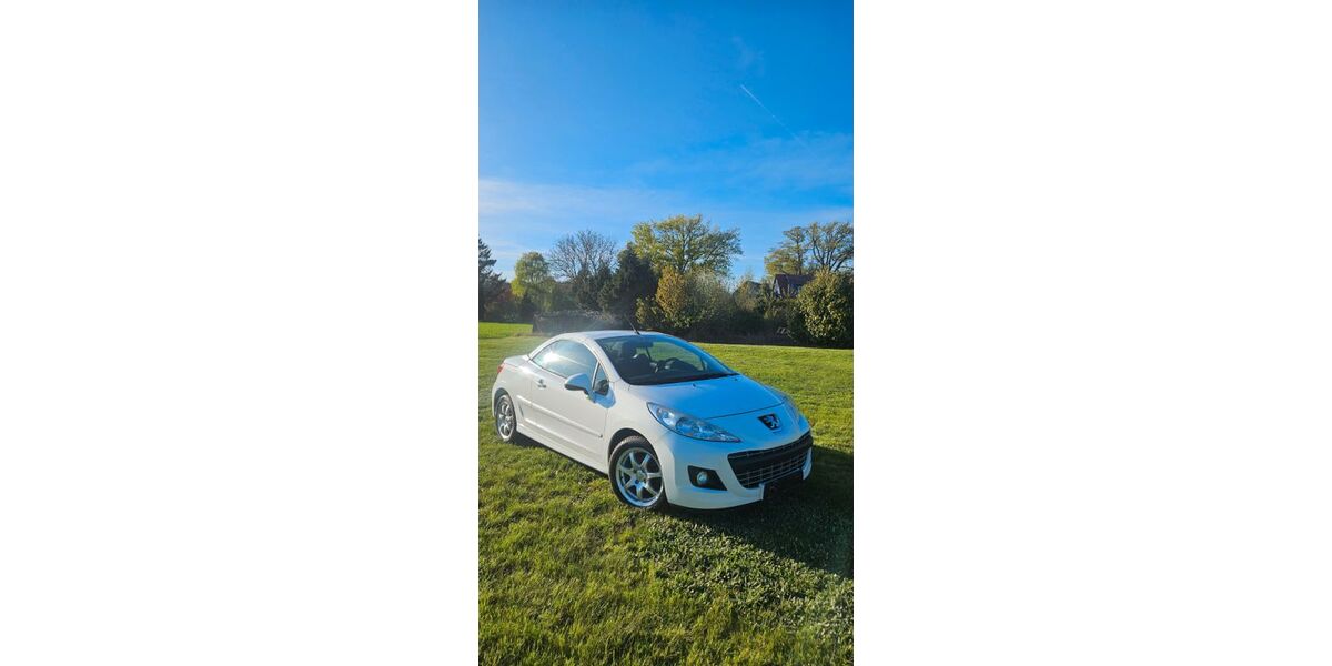 Peugeot 207 219.000 km 1.000 &euro; Rohrberg OT Ahlum 38489