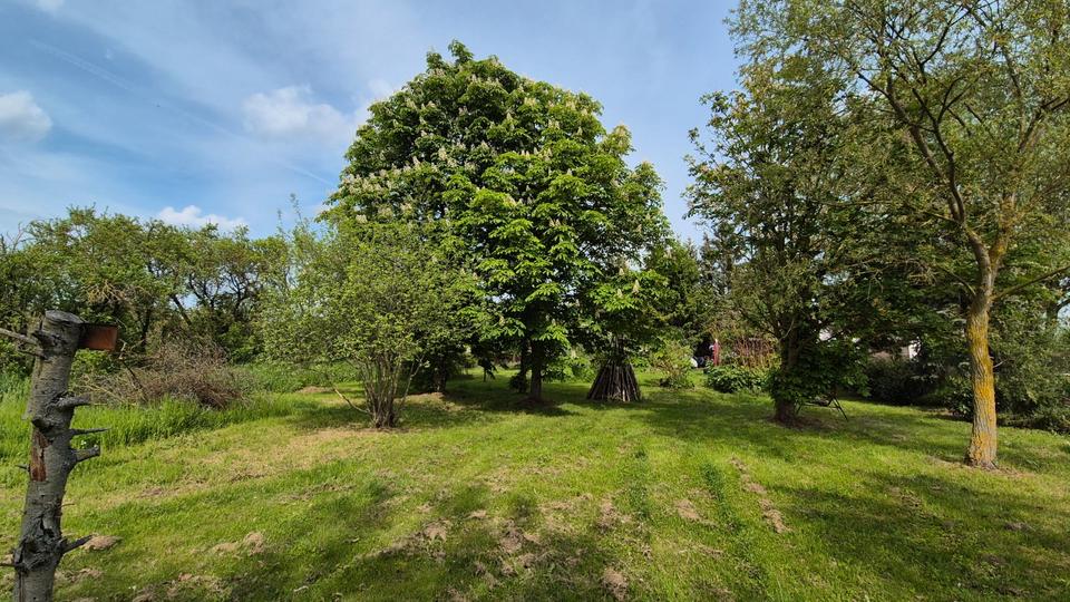 Einfamilienhaus Aken (Elbe) - 4 Zimmer, 98 m&sup2;, 128.999&euro; | Angebot:26757332