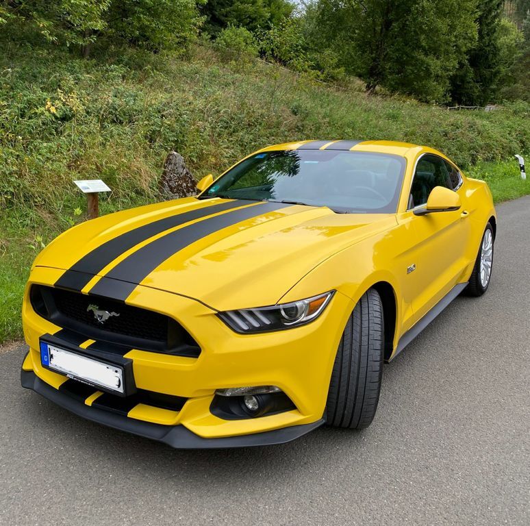 Mustang
