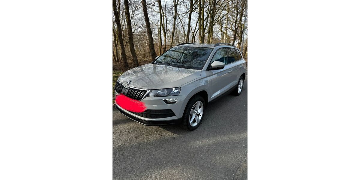 Skoda Karoq 97.349 km 18.750 &euro; Filsum 26849