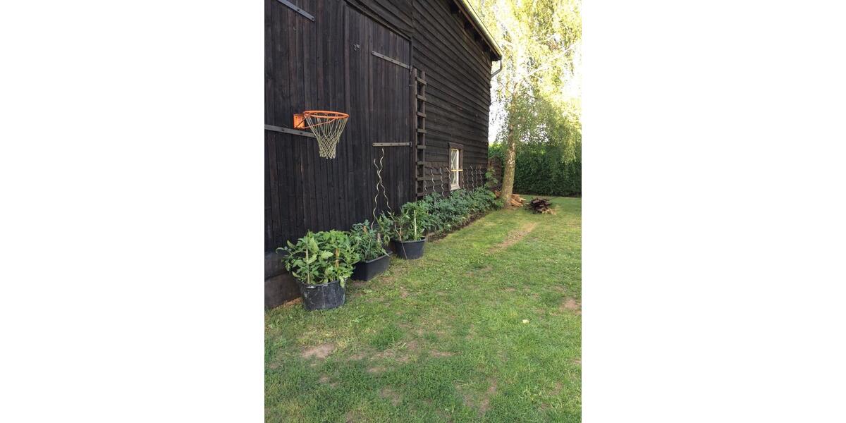 Einfamilienhaus in idyllischer Lage bei Greifswald zu vermieten 7 zimmer