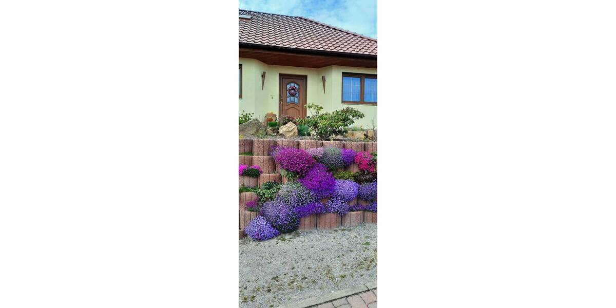 Mehrfamilienhaus, Wohnhaus Langenstein Langenstein - 4 Zimmer, 112 m&sup2;, 290.000&euro; | Angebot:26475203