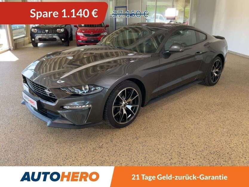 Mustang