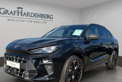 Cupra Terramar 13.000 km 48.990 &euro; Radolfzell 78315