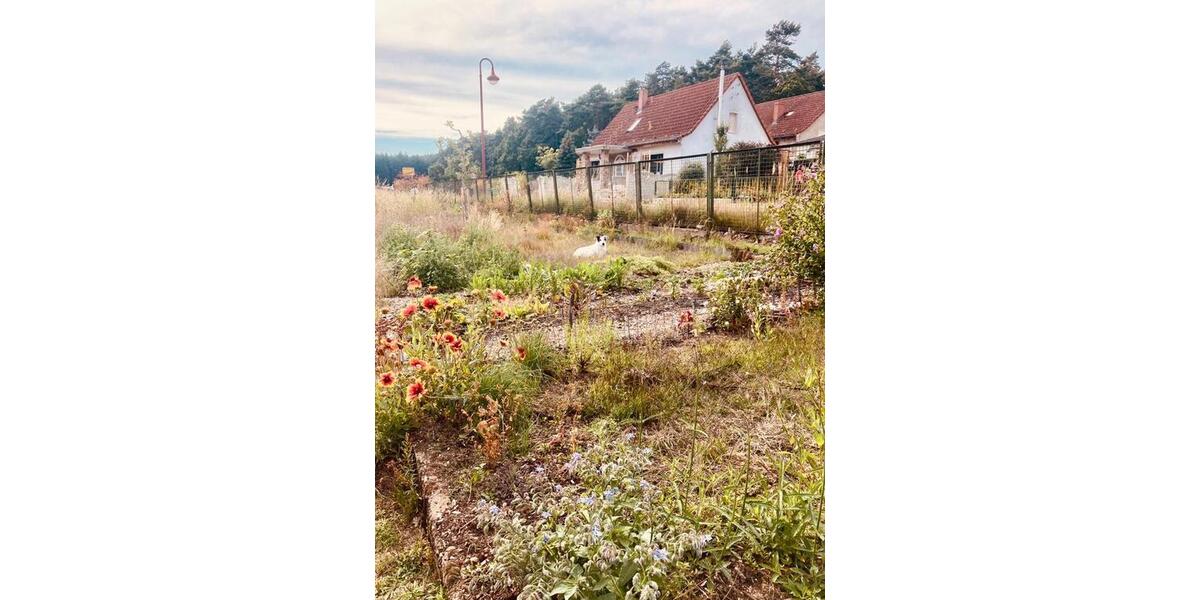 Bauernhaus, Landhaus Wiesenburg/Mark Mark - 6 Zimmer, 120 m&sup2;, 175.000&euro; | Angebot:26932993