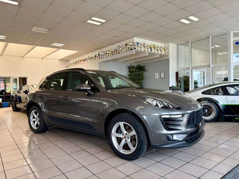 Macan