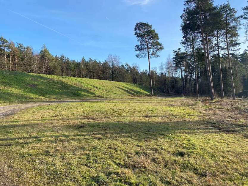 Grundstück zu verkaufen in Sassenburg 42.100 € 324 m² zimmer