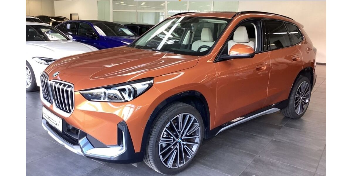 BMW X1 22.800 km 43.975 &euro; Pleisweiler-Oberhofen 76889