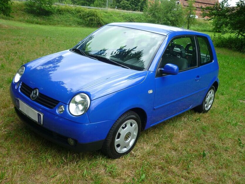 Lupo
