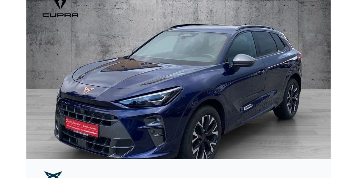 Cupra Terramar 26.570 km 33.450 &euro; Weißenburg in Bayern 91781