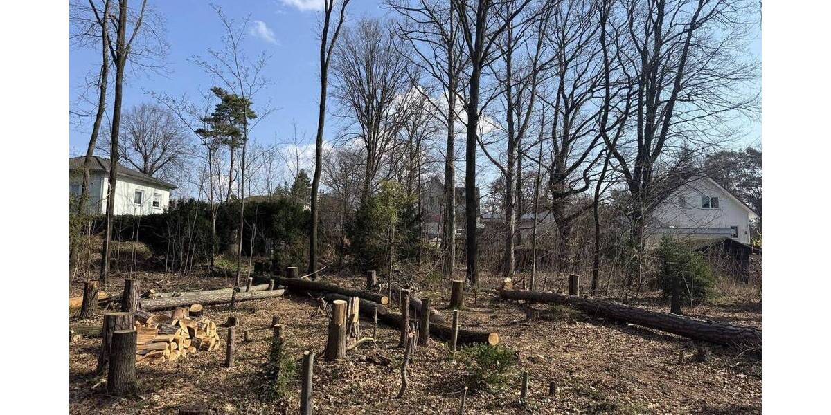Grundstück Moritzburg - 234.500&euro; | Angebot:26817992