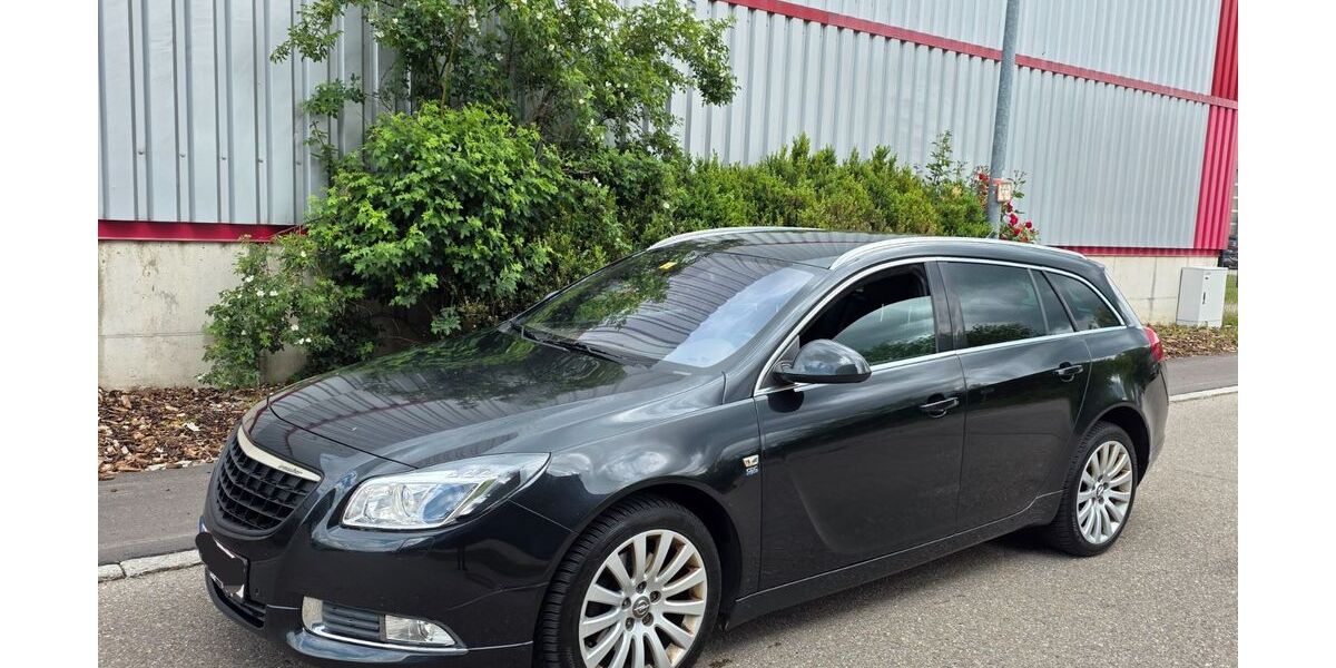 Opel Insignia 251.000 km 3.900 &euro; Leutkirch 88299