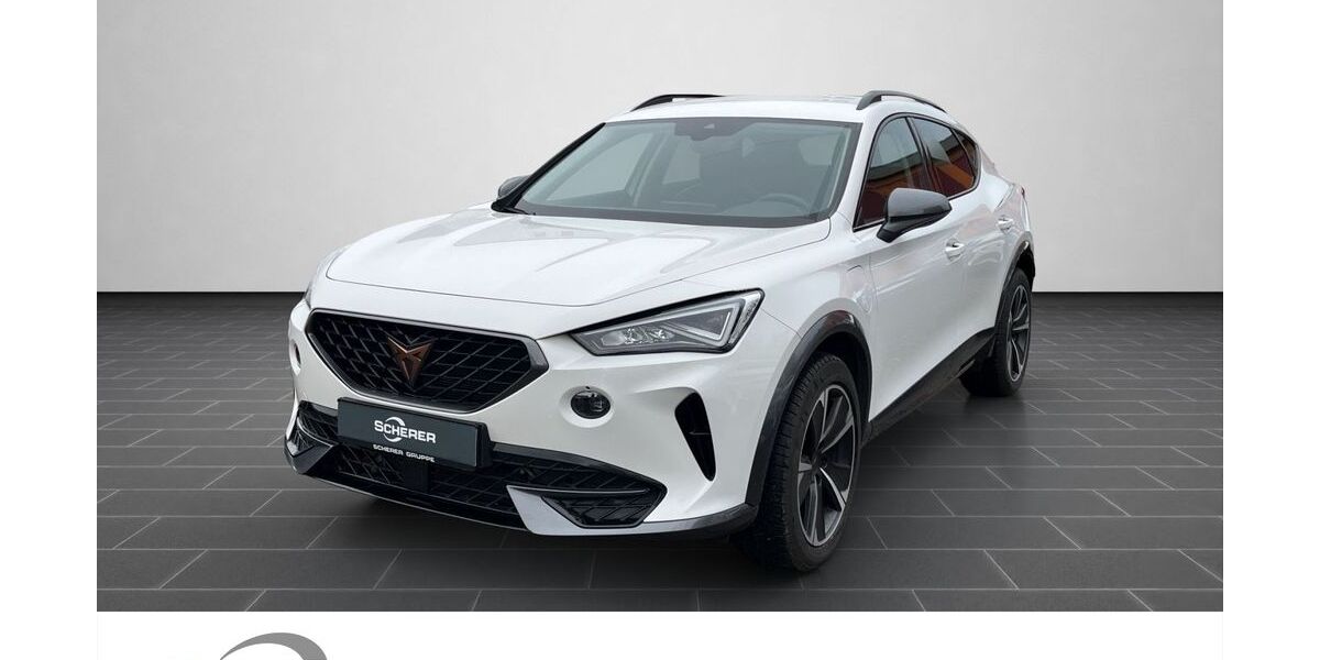 Cupra Formentor 57.434 km 23.100 &euro; Heidelberg 69123