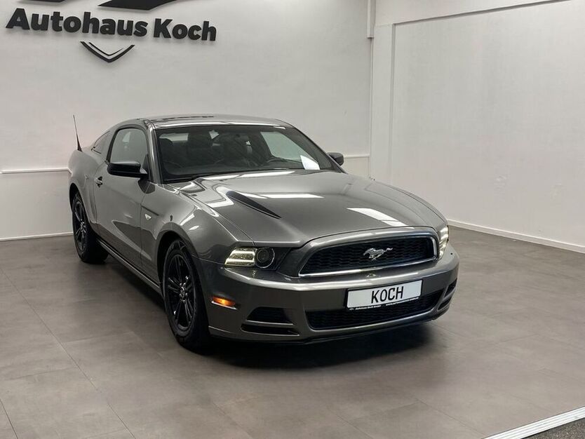 Mustang