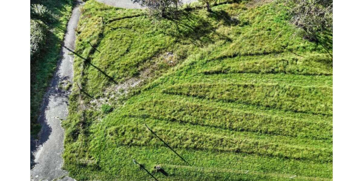 Grundstück zu verkaufen in Heiligenberg 125.000 € 455 m² zimmer