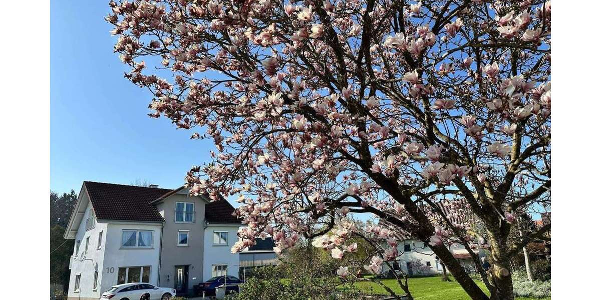 Einfamilienhaus Biberach an der Riß - 7.5 Zimmer, 266 m&sup2;, 448.000&euro; | Angebot:26166670
