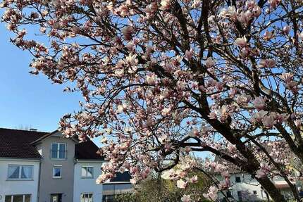 Haus Biberach an der Riß - 7.5 Zimmer, 266 m&sup2;, 448.000&euro; | Angebot:26166670