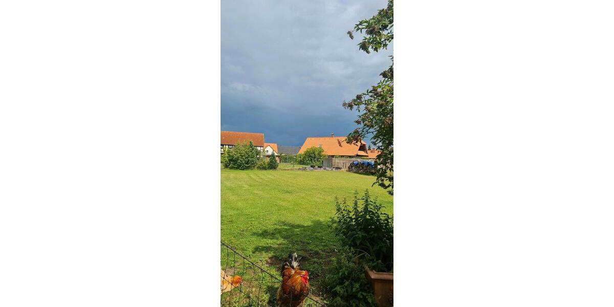 Mehrfamilienhaus, Wohnhaus Arendsee (Altmark) - 13 Zimmer, 352 m&sup2;, 750.000&euro; | Angebot:25510283