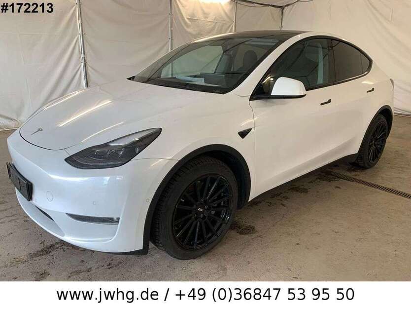 Model Y