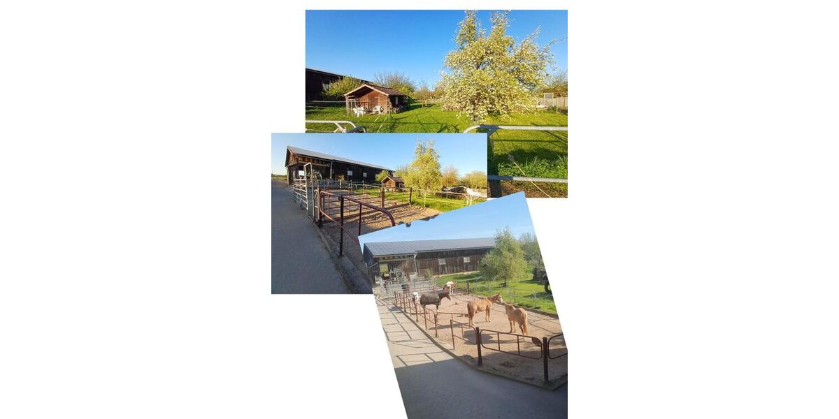 Attraktiver Reiterhof mit vielseitigem Nutzungspotenzial - Einfamilienhaus Bad Neustadt Brendlorenzen | Angebot:27054184