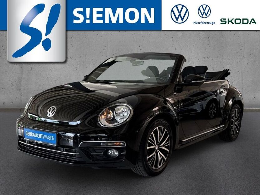 Beetle