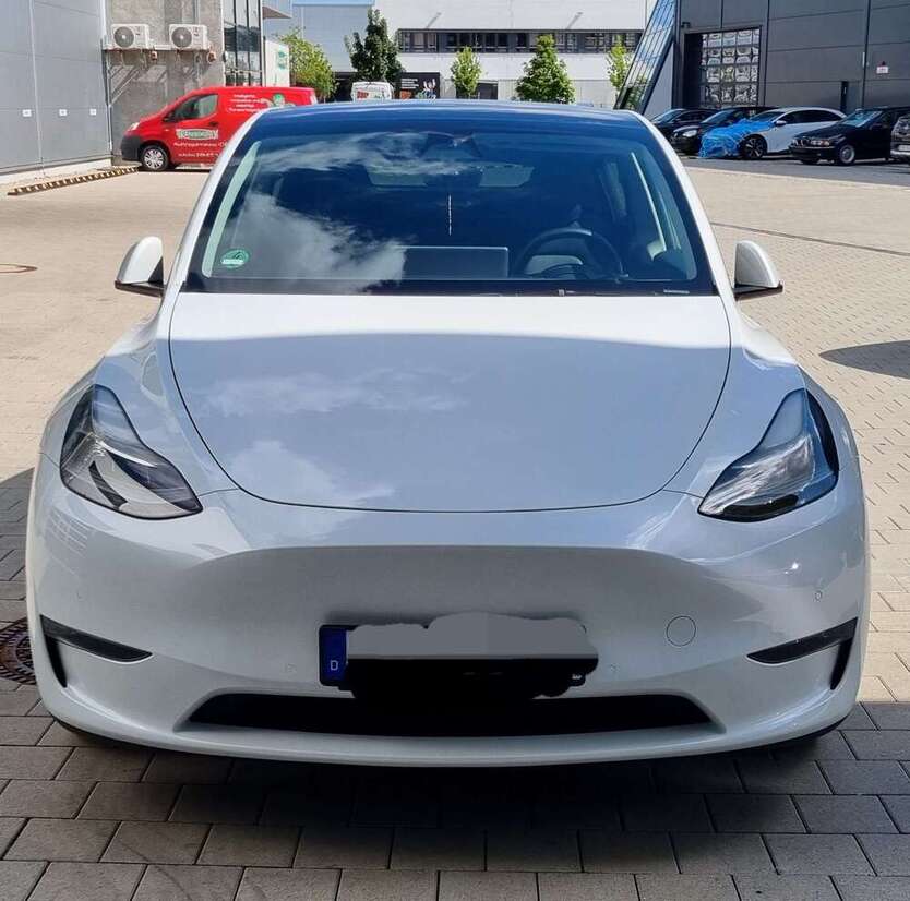 Model Y