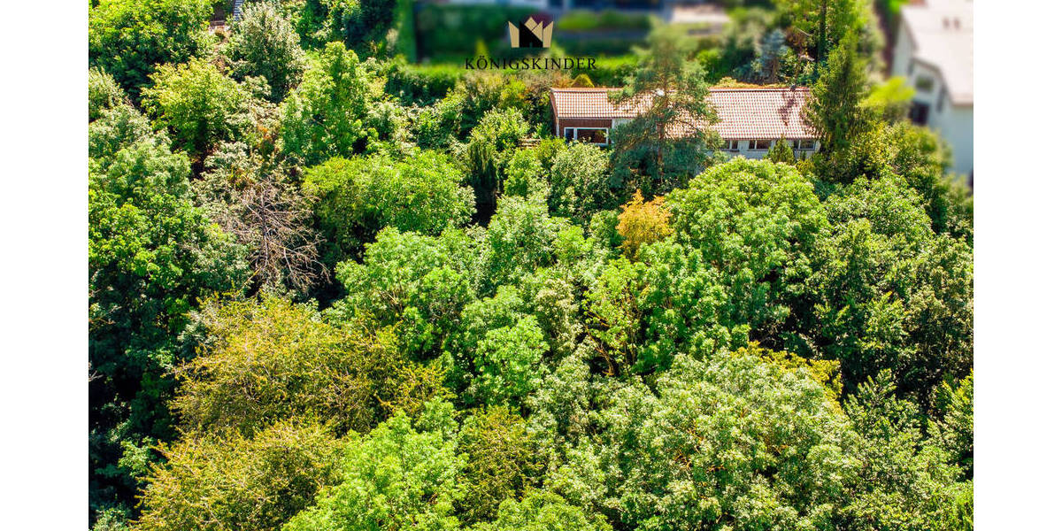 Preisanpassung! Inmitten von Ruhe und Natur mit Ausblick und XXL Grundstück! zimmer