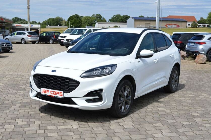 Kuga