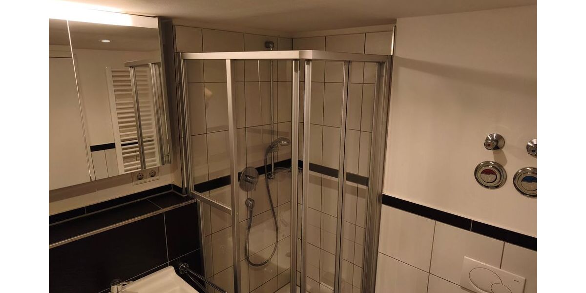 Loftwohnung mit 2 Zimmern und Wintergarten in der Innenstadt von Landau mit bester Aussicht - Appartement Landau Kernstadt | Angebot:26989780