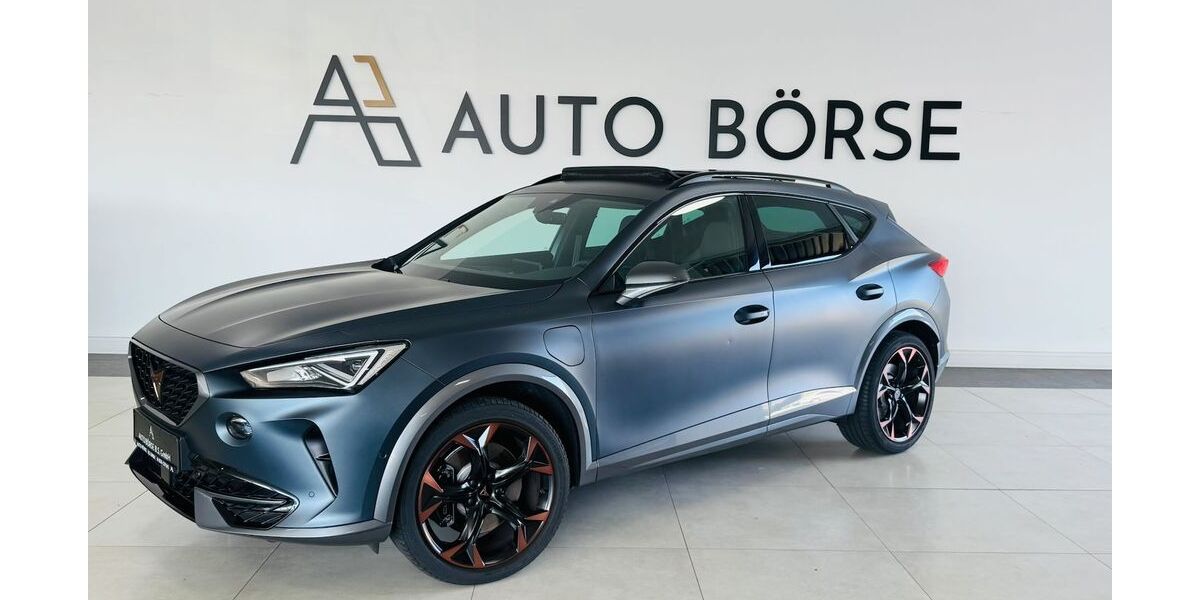 Cupra Formentor 93.100 km 25.890 &euro; Braunschweig 38114
