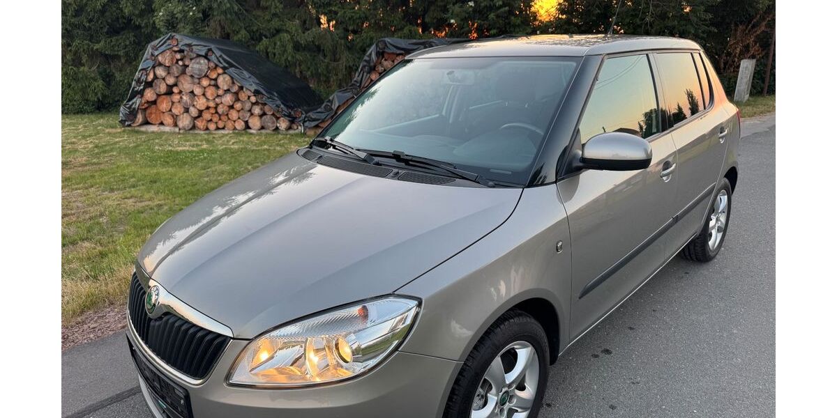 Skoda Fabia 74.710 km 7.499 &euro; Mittweida 09648