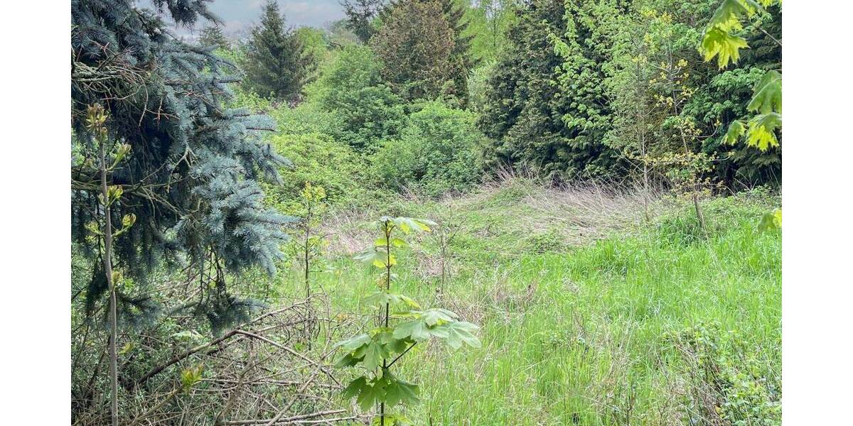 Grundstück Wettin-Löbejün Wettin - 26.500&euro; | Angebot:26799587