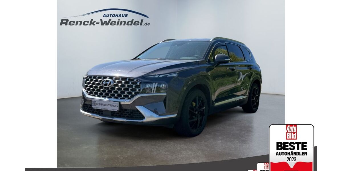 Hyundai SANTA FE 101.402 km 36.989 &euro; Speyer 67346