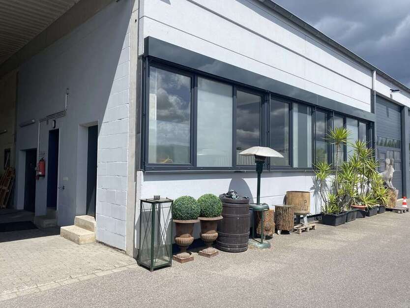 Halle in Münster 270 € 90 m²