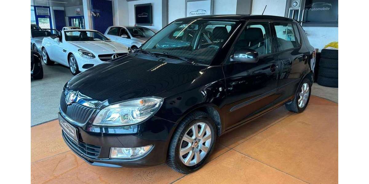 Skoda Fabia 82.464 km 9.790 € Bad Duerkheim 67098