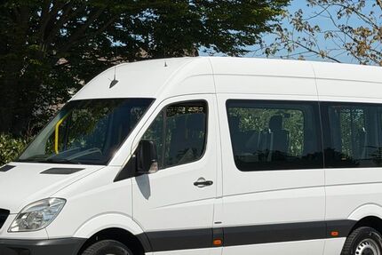 Mercedes-Benz Sprinter 362.002 km 8.806 &euro; Bad Bentheim 48455