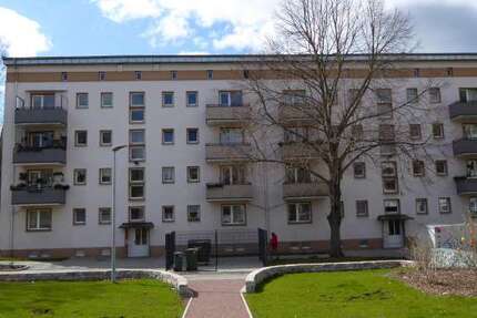 Wohnung zum Mieten in Dessau-Roßlau 235 € 35.36 m² 1 zimmer